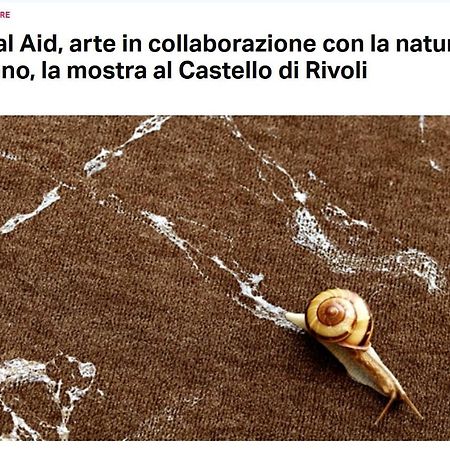 La Casa Di Silvio Ai Giardini Reali Apartment Торино Екстериор снимка